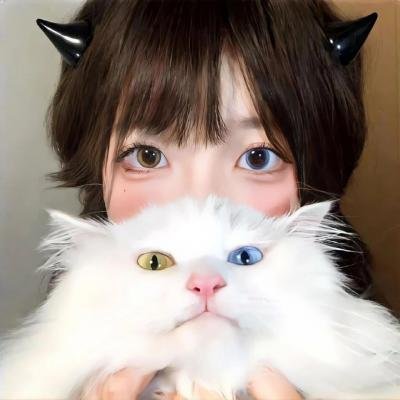 耶路撒冷的房子在线观看